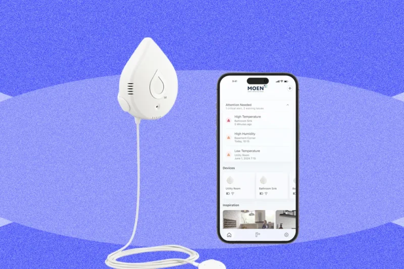 Master Water Leak Detection for Home Efficiency
