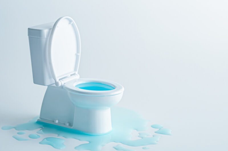 Top Solutions for a Toilet Not Flushing Properly